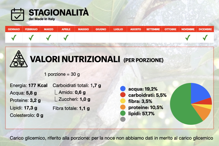 Le superfici coltivate a noce in Italia sono in crescita, grazie al sempre maggiore interesse degli italiani per la frutta secca made in Italy