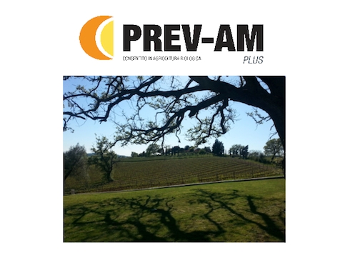 Prev-Am Plus di Nufarm è un prodotto di origine naturale