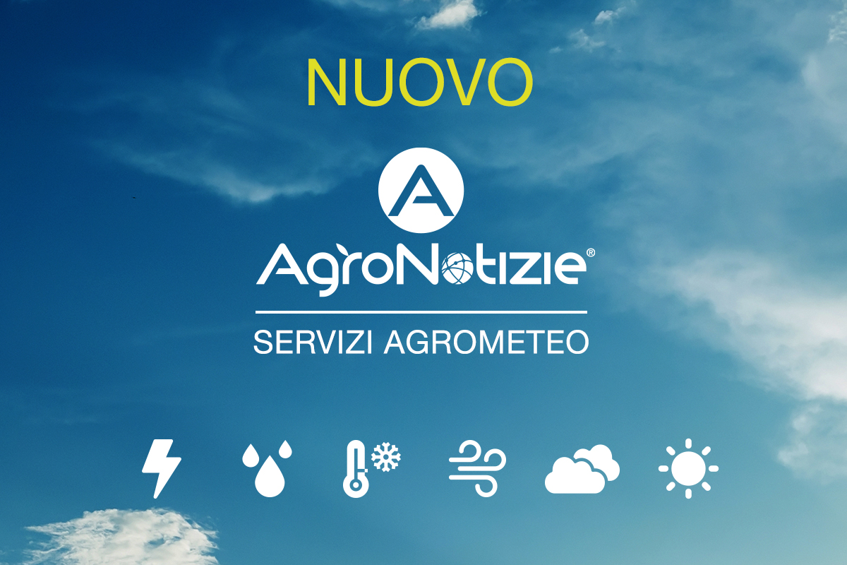 Nuovo AgroNotizie®: pronti i servizi agrometeo