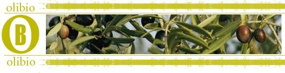 'Sviluppo di sistemi di produzione di oli di oliva da agricoltura biologica'
