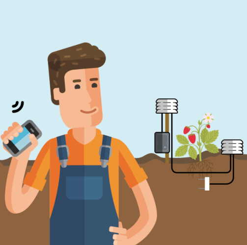 Le app di Bosch per coltivare direttamente dal proprio smartphone