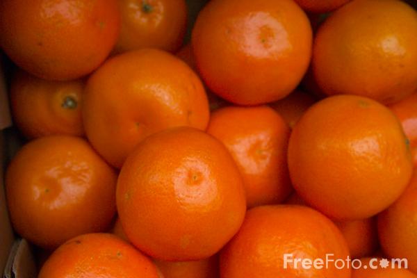 In Sicilia si produce biopellet all'arancia