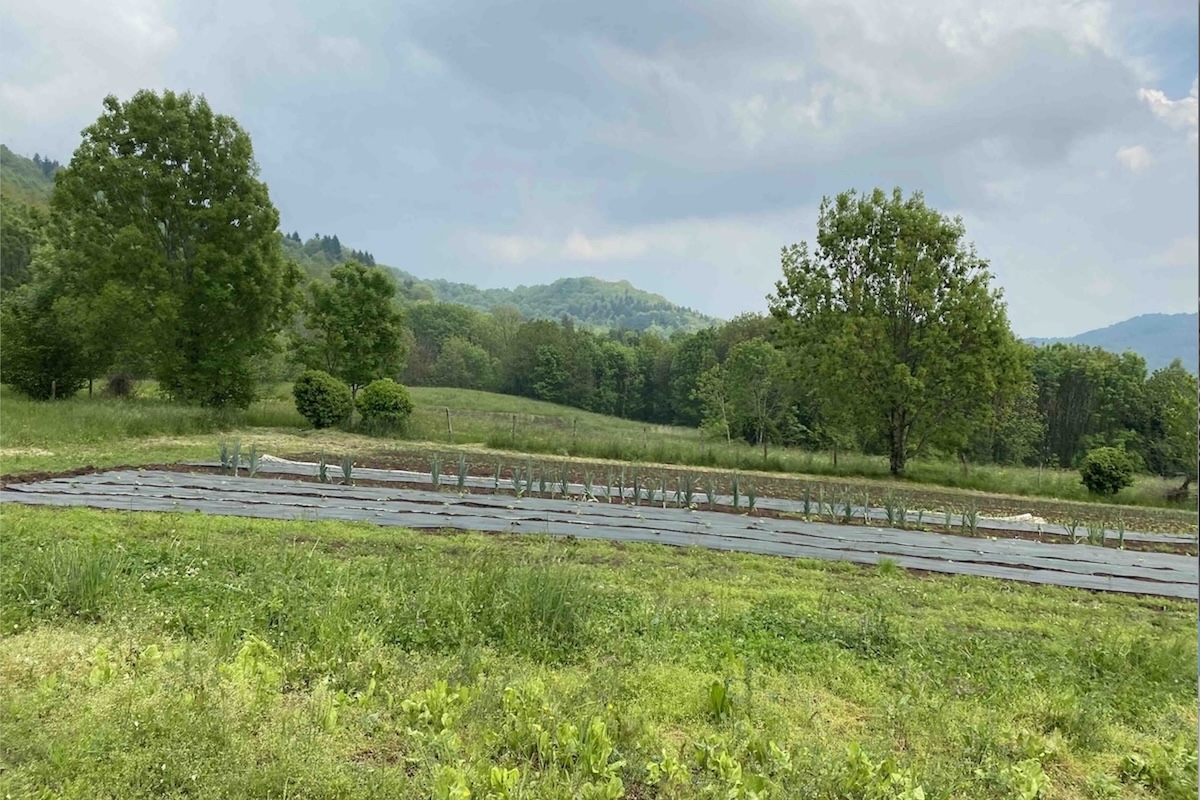 Intervista a Elia Antoniazzi de La Rindola, il luogo della biodiversità