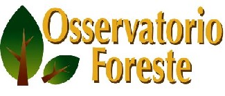 La gestione forestale sostenibile in un click