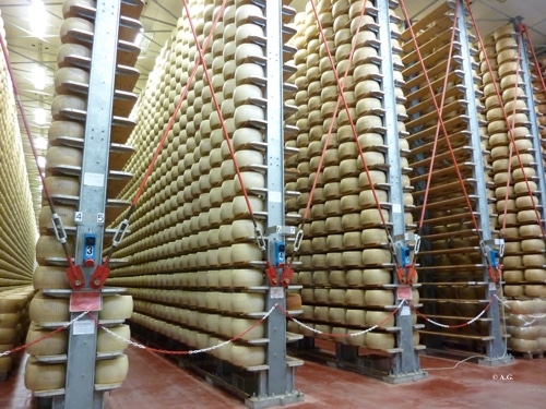  Un grande magazzino di stagionatura del Parmigiano Reggiano 