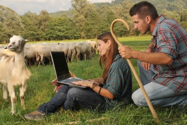 Davide e Daniela pastori erranti dell’Alpago usano il pc per avere informazioni tecniche