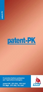 Il logo del prodotto patent-Pk