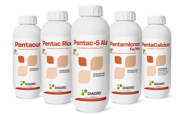 pentac-rice-ala-fonte-diagro.png