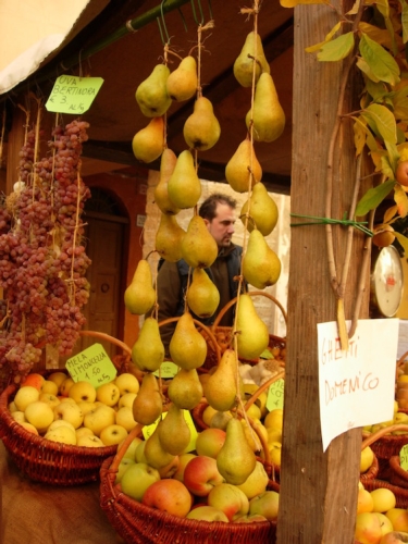 Pere scipione, mela limoncella e uva appesa. Casola Valsenio (Ra) nei weekend 8-9 e 15-16 ottobre 2016