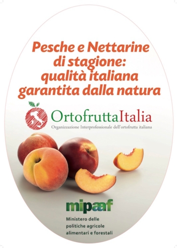 Pesche e nettarine di stagione: qualità italiana garantita dalla natura