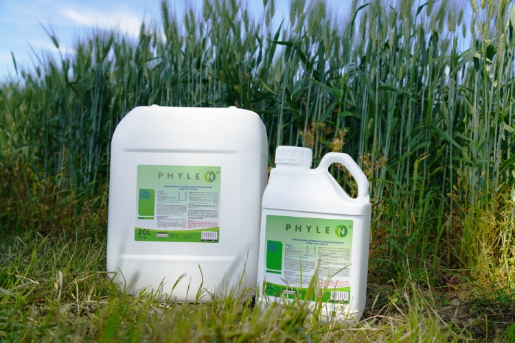 Phylen, per favorire la crescita vegetativa e superare gli stress