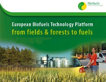 In attesa della piattaforma europea del biofuel