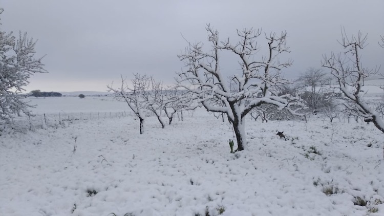 La Puglia è stata duramente colpita da una nevicata fuori stagione