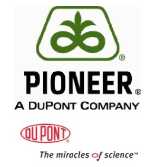 Pioneer Hi Bred e DuPont per le bioenergie