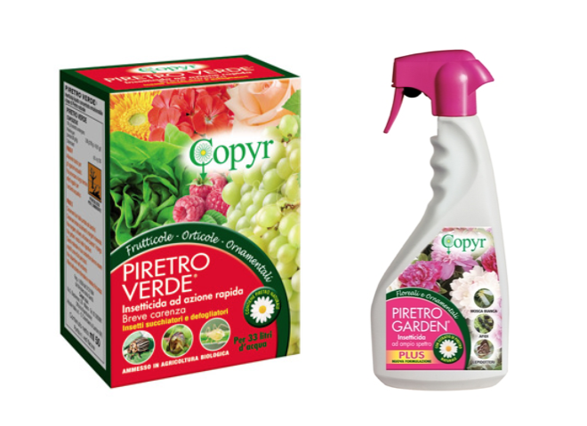 piretro-verde-garden-fonte-copyr.png
