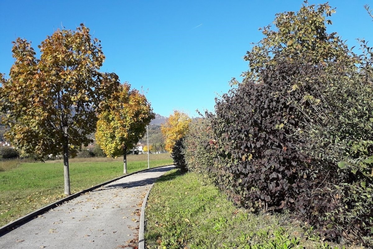 Pista ciclabile separata da strada ad intensa percorrenza mediante filare arbustivo