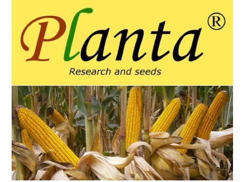 Novità per il 2014 nel settore delle sementi di mais