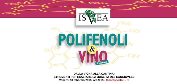 polifenoli-vino-2015.jpg