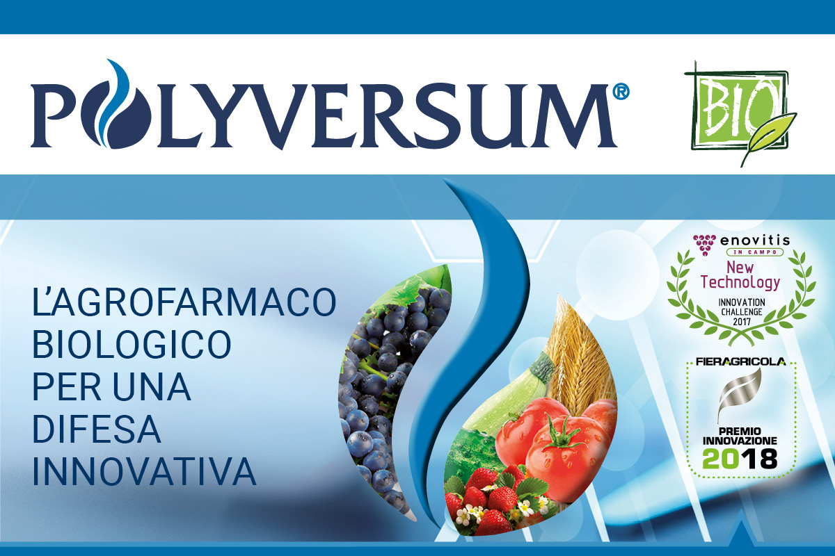 Polyversum, l'agrofarmaco naturale a base di Pythium oligandrum, commercializzato in esclusiva da Gowan Italia