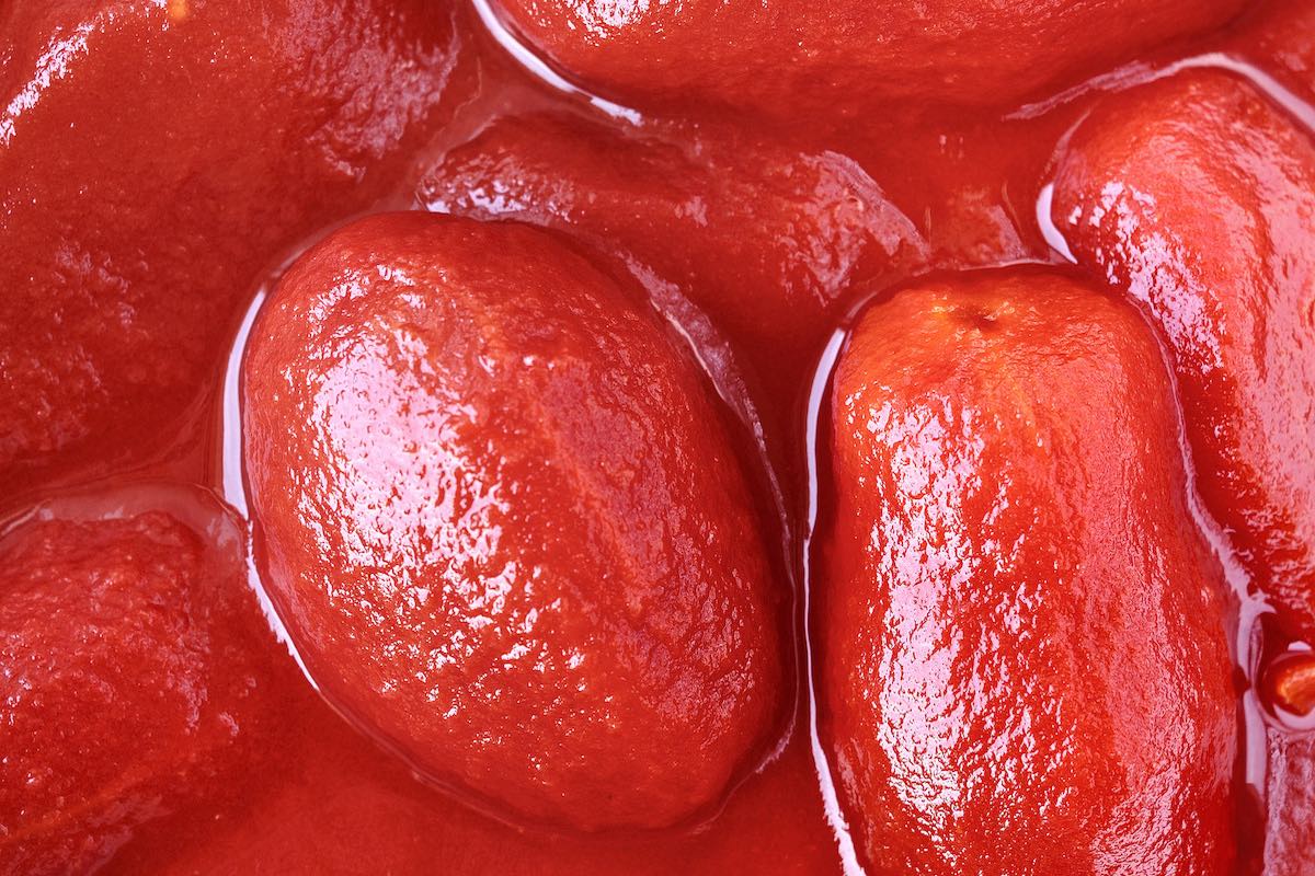 Come scegliere la genetica più adatta del pomodoro da industria