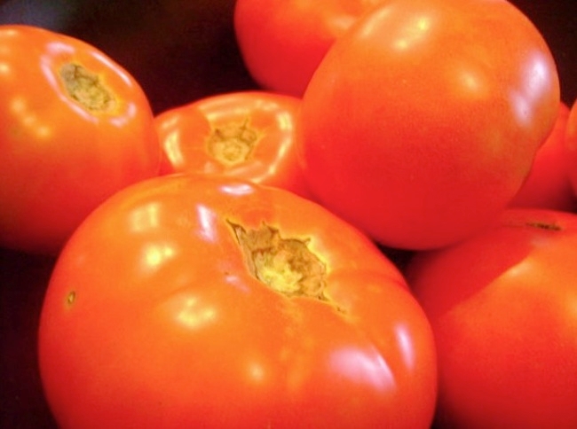 Coldiretti: 'Il maltempo sta impedendo la raccolta meccanizzata del pomodoro'
