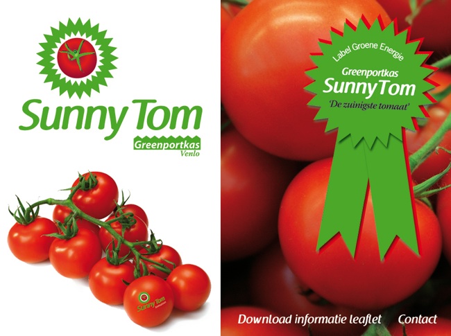 Olanda: produttore di pomodori diventa fornitore di energia