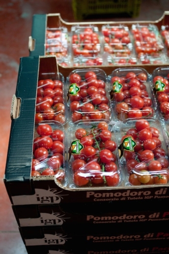 Pomodoro di Pachino Igp, tra i prodotti di punta dell'eccellenza siciliana
