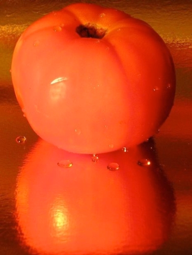 pomodoro-pomodori-fonte-morguefile-gracey.jpg