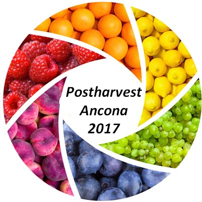 postharvest-ancona-20170519.jpg