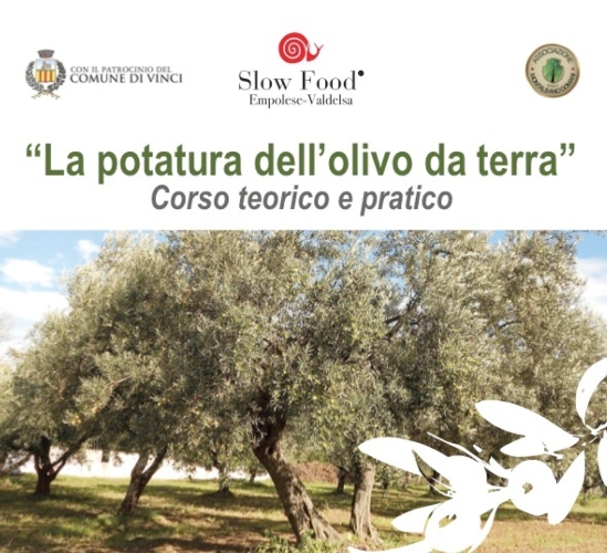 I tre eventi dedicati all'olivicoltura si terranno in marzo