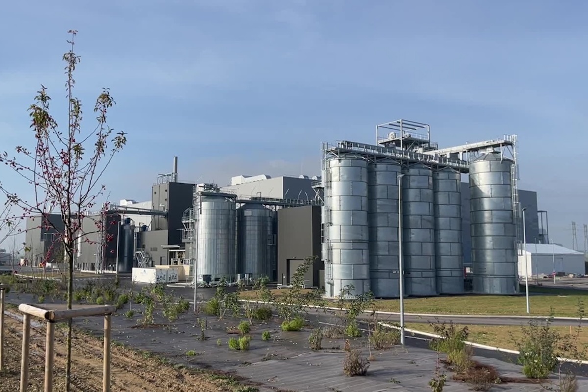 Integrare l'insetticoltura negli impianti di biogas