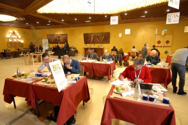 La giuria internazionale del Premio Biol 2015 - XXI edizione, un appuntamento che porta la Puglia al centro della scena olivicolo olearia internazionale