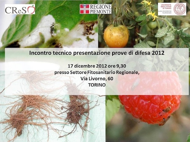 Torino, lunedì 17 dicembre 2012