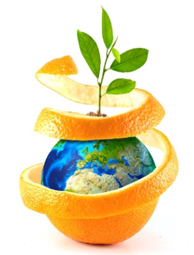PREV-AM® Plus, a base di olio essenziale di arancio dolce, è consentito anche in agricoltura biologica