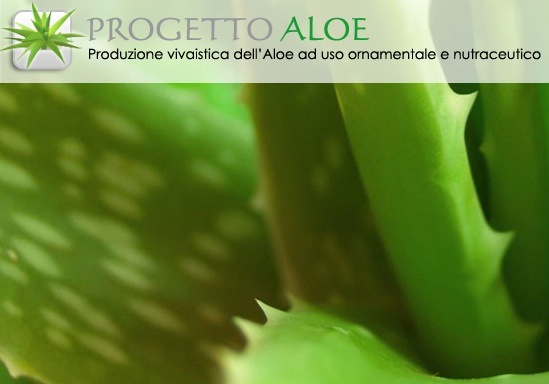 progetto-aloe
