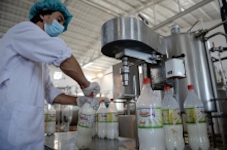 Un progetto nel settore lattiero-caseario finanziato dall'Italia ad Herat, Afghanistan