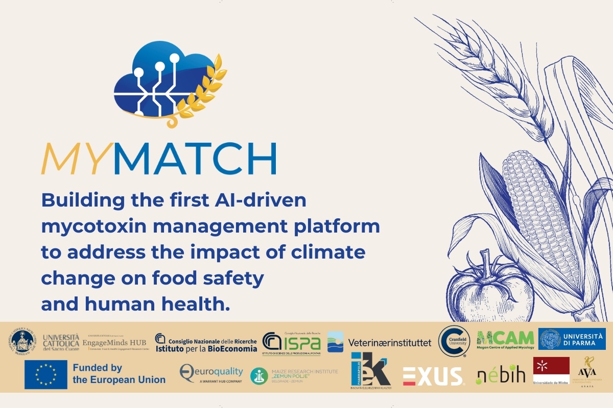 MyMatch: affrontare la sicurezza alimentare di fronte ai cambiamenti climatici