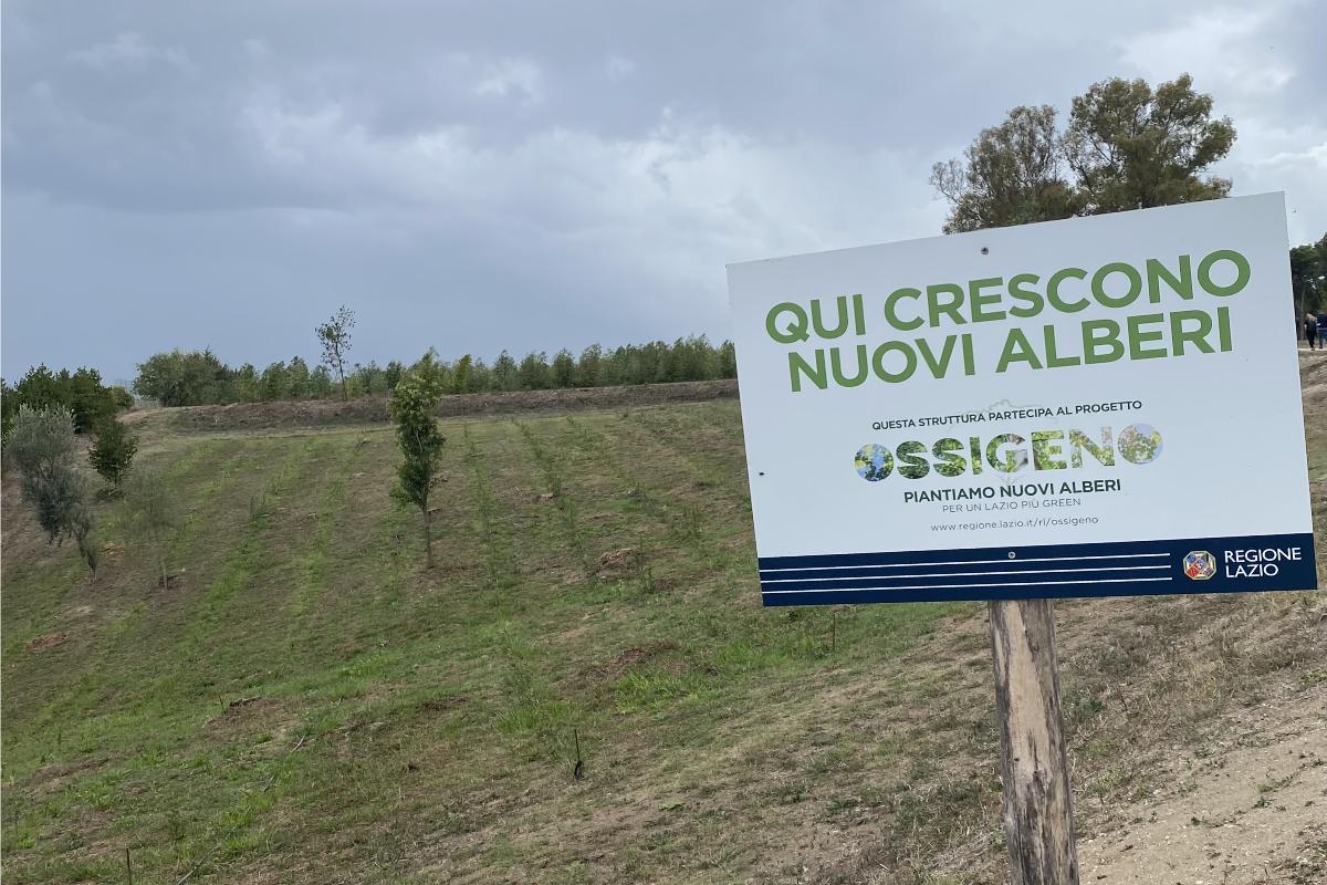 Agroforestazione Il Lazio Fornisce Gratuitamente Le Piante Alle Agroforestazione Il Lazio Fornisce Gratuitamente Le Piante Alle