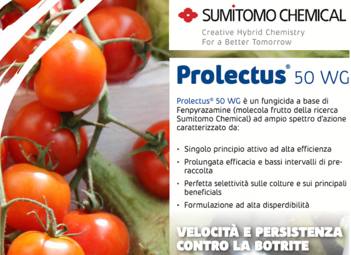 prolectus-fonte-sumitomo1.png