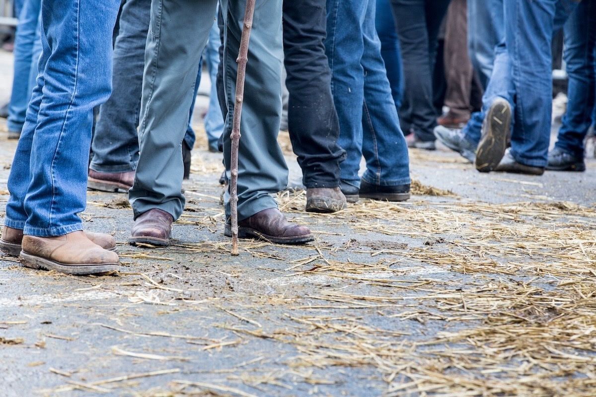Continuano le proteste in Germania, e in tutta Europa gli agricoltori sono alla finestra