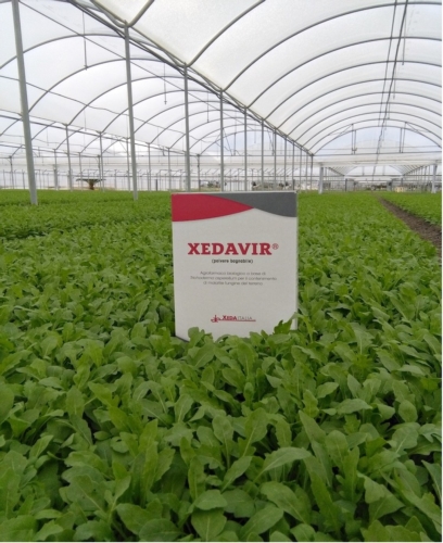 Xedavir è una soluzione ecocompatibile utilizzabile sia in agricoltura biologica che in lotta integrata