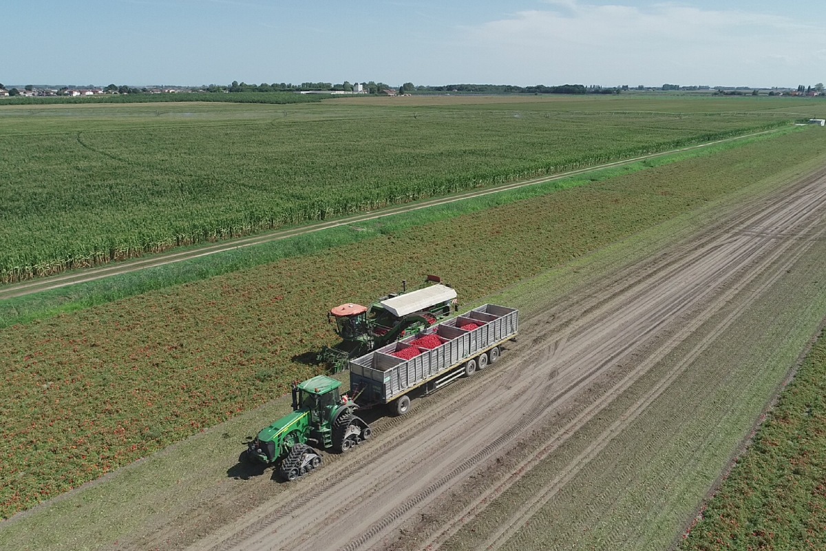 Porto Felloni, coltivare con i dati