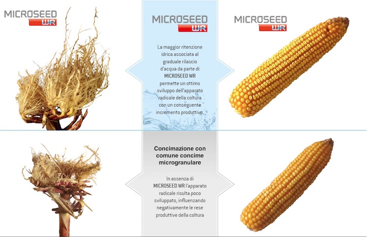 Microseed WR trattiene e rilascia gradualmente l’acqua al seme o alle radici