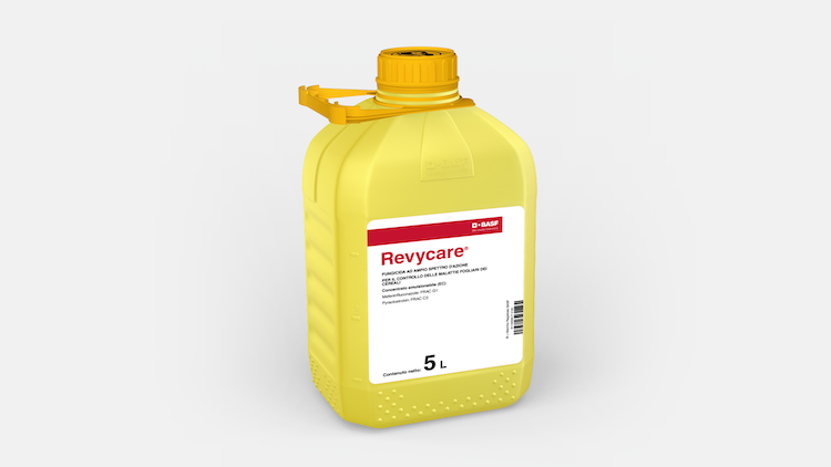 Revycare®, un nuovo efficace strumento di difesa dai patogeni fungini per i cerealicoltori