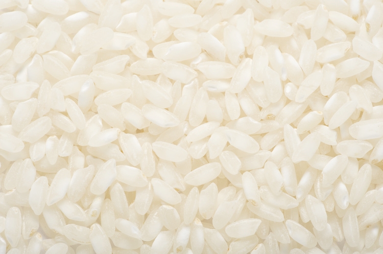 Il riso è al centro di un possibile accordo Lombardia - Senegal