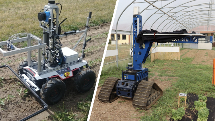 I 2 robot in via di sviluppo semplificheranno la gestione delle colture in campo