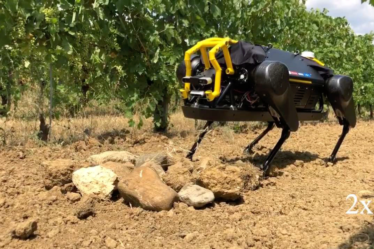 Arriva Vinum, il robot che pota le viti