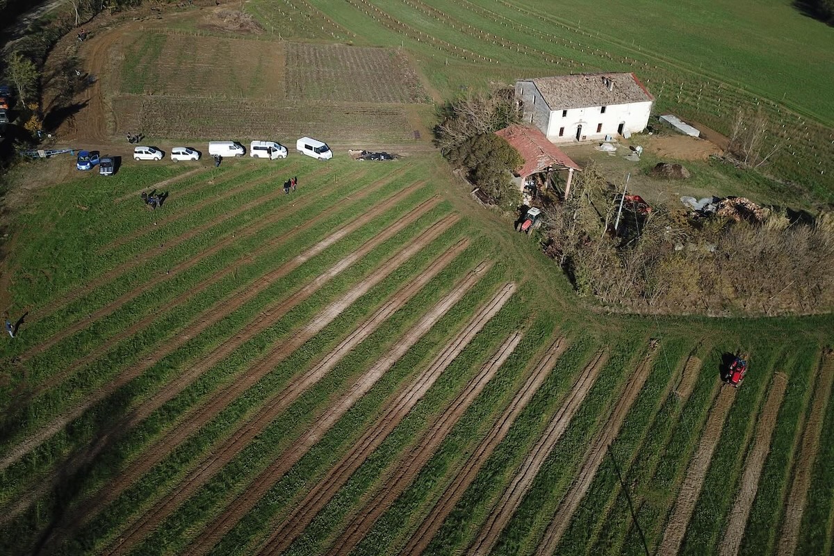 Il sistema agroforestale de La Roncona