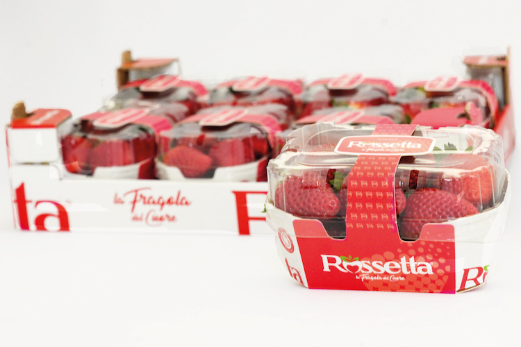 rossetta-fragola-packaging-fonte-nova-siri-genetics.jpg