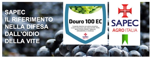 Douro 100 EC è la proposta di Sapec Agro Italia contro l'oidio della vite. 